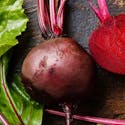 Best Beet Supplement