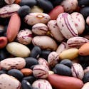 The Nutritional Value of Beans: A Versatile Superfood